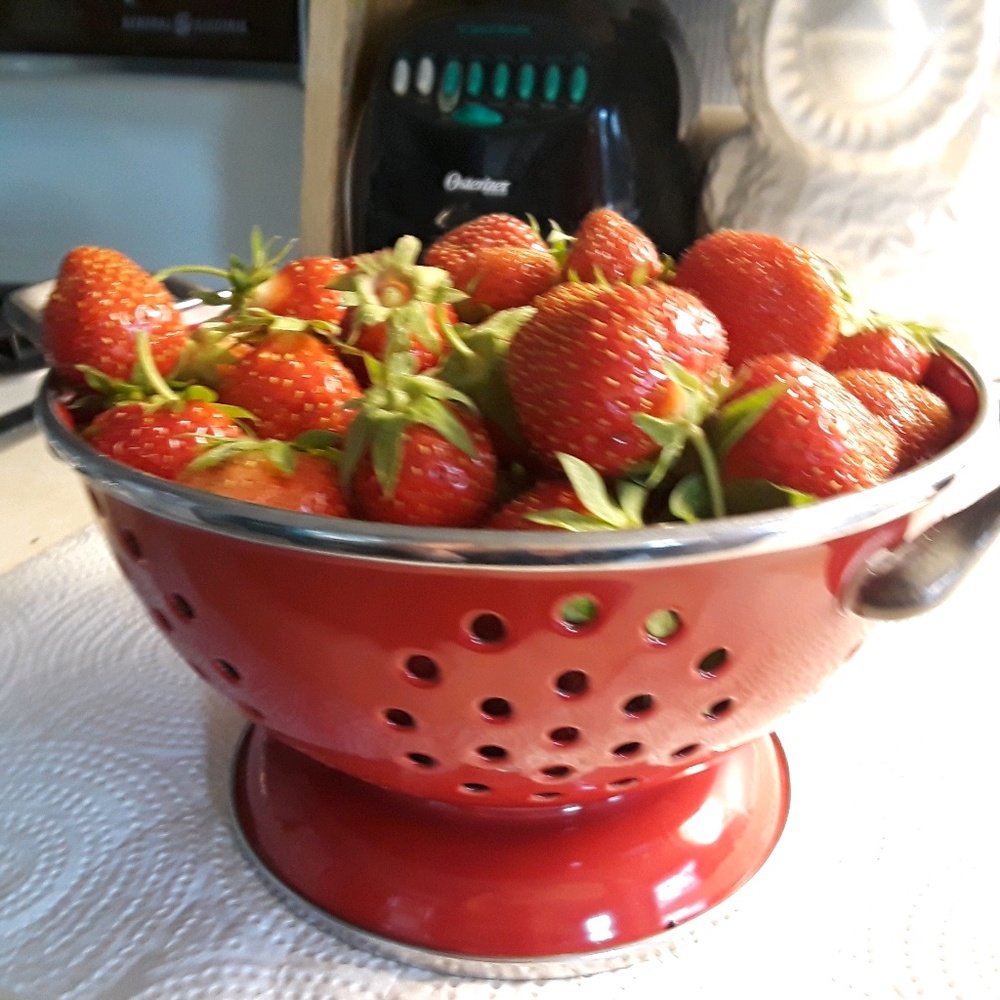 Meet your Posher, Dianne